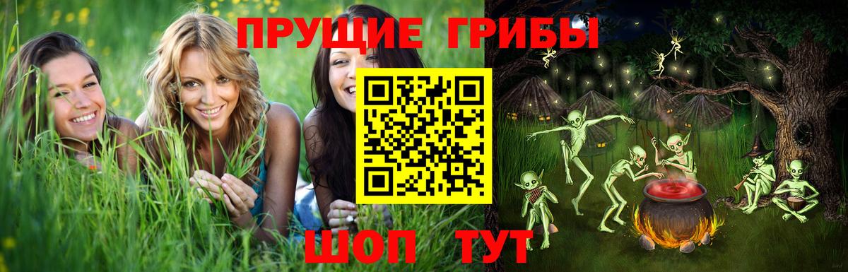 Псилоцибиновые грибы MAGIC MUSHROOMS  Вход с VPN  Галлюциногенные грибы мицелий  Тихвин 